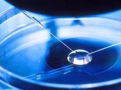 2026年没有卵泡去浙江做三代试管可以吗？超详细流程介绍