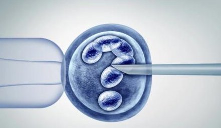 昆明试管助孕生孩子医院 附试管助孕生孩子条件介绍