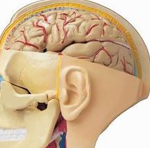 北京私立试管助孕医院有哪些(做试管助孕费用贵不贵)