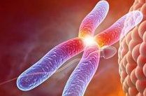 去泰国试管大概需花多少钱？泰国试管应准备哪些资料？