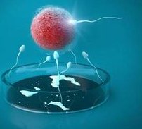 广州做试管哪个医院好，广州试管婴儿医院排名