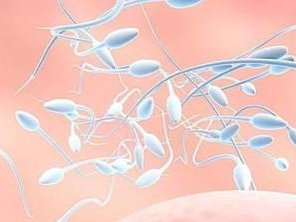 代美国试管婴儿多少钱做试管婴儿流程有哪些？