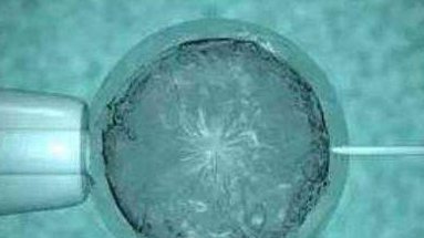 2026广州特需试管婴儿医院排名，哪家医院成功率比较好？